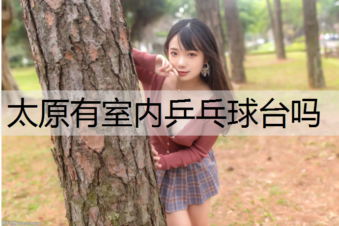 太原有室内乒乓球台吗