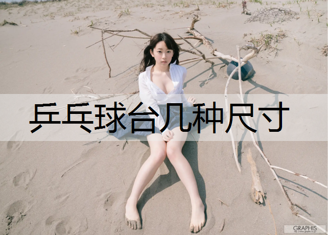 乒乓球台几种尺寸