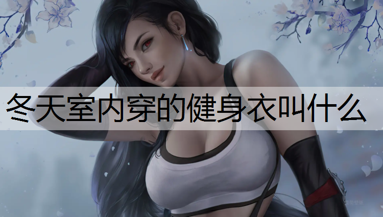 冬天室内穿的健身衣叫什么