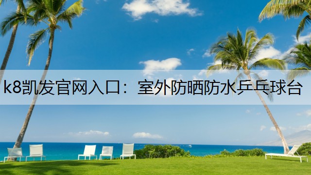 室外防晒防水乒乓球台