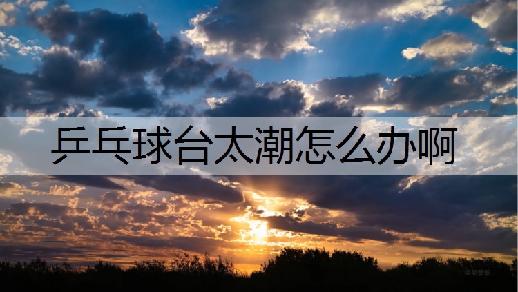乒乓球台太潮怎么办啊
