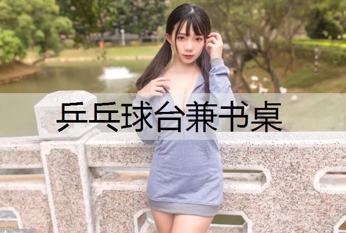 乒乓球台兼书桌