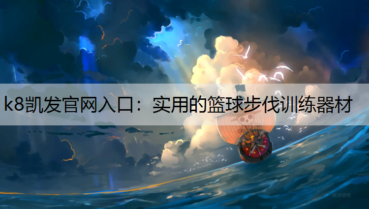 实用的篮球步伐训练器材