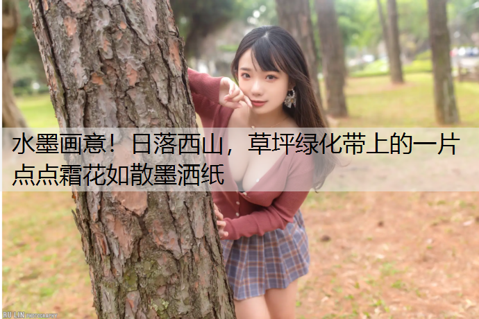 水墨画意！日落西山，草坪绿化带上的一片点点霜花如散墨洒纸