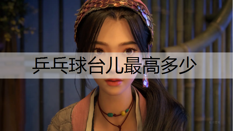 乒乓球台儿最高多少